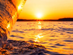 Picture of golden sunset on the water