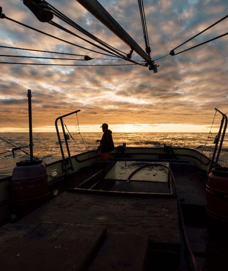 A sunset image of man standing at the edge of a fishing vessel.