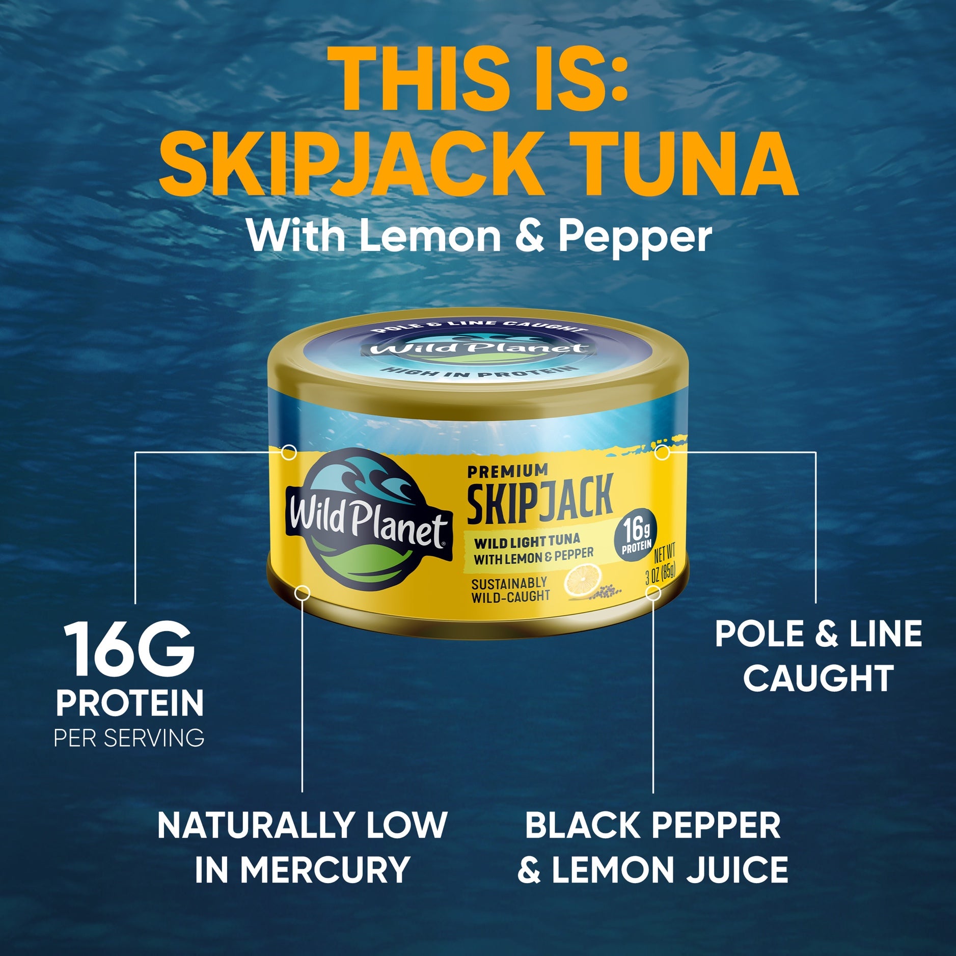 Skipjack Tuna with Dill Pickle - Wild Planet Foods