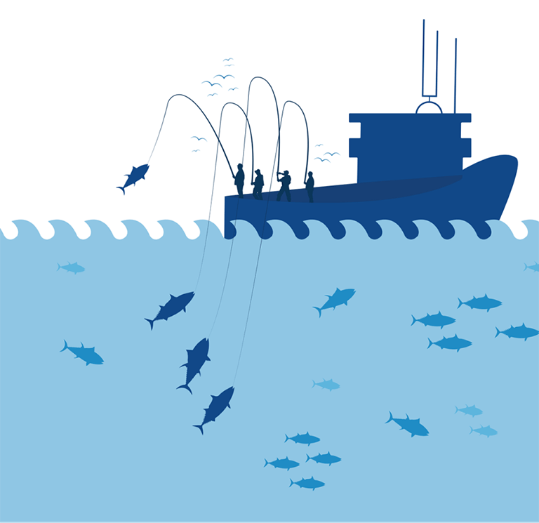 Illustration of pole & line fishing practice