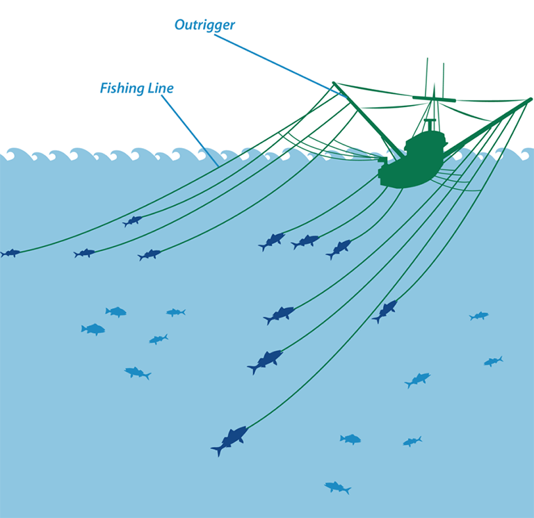 Illustration of trolling fishing practice