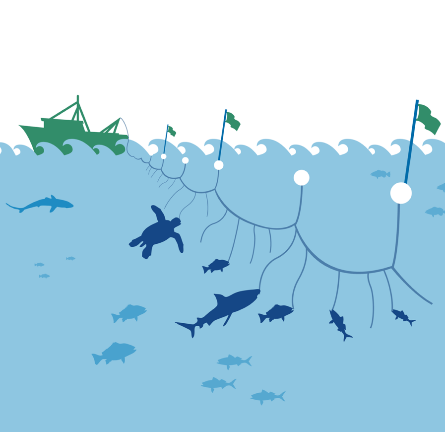 Illustration of Long-Line wasteful fishing practice