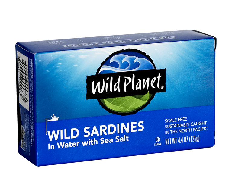 Wild Sardines In Water