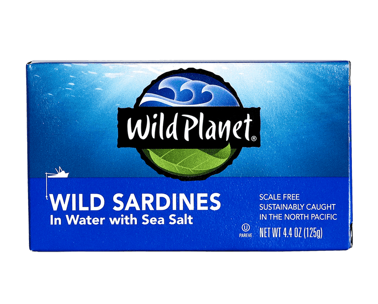 Wild Sardines In Water